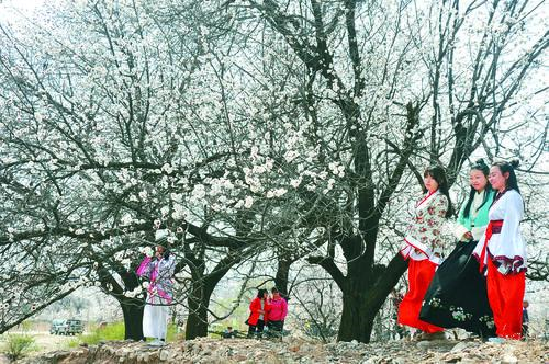 看球帝NBA直播在线观看免费